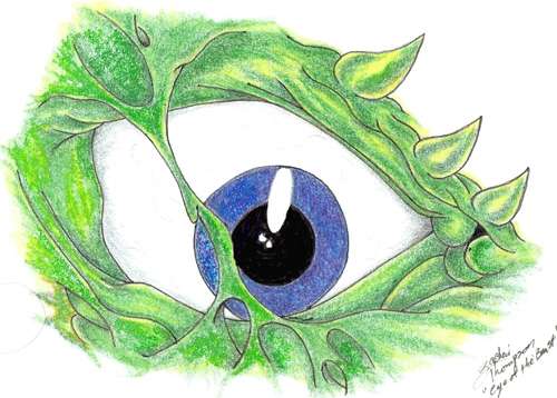 Eye_Of_The_Beast_Large263433197