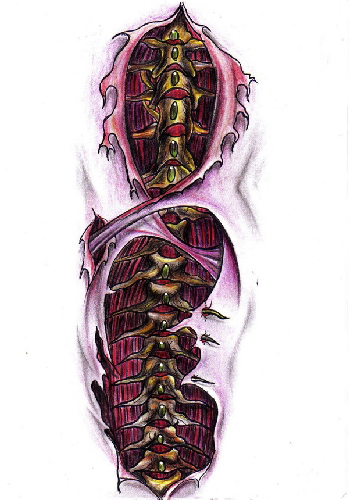 coloanavertebrala832800302